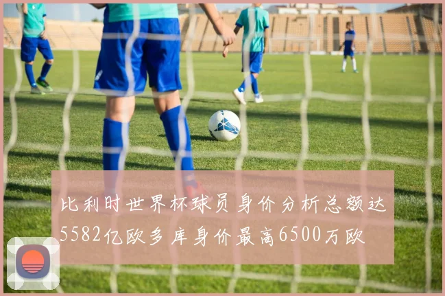 比利时世界杯球员身价分析总额达5582亿欧多库身价最高6500万欧