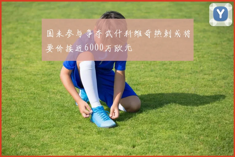 国米参与争夺武什科维奇热刺或将要价接近6000万欧元