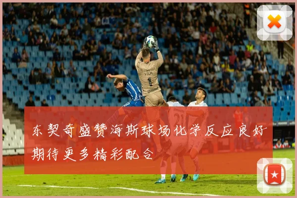 东契奇盛赞海斯球场化学反应良好期待更多精彩配合